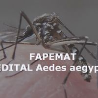 Edital 007-2016-Fapemat- Aedes